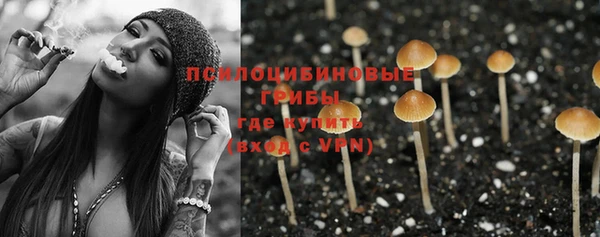 гашик Магас